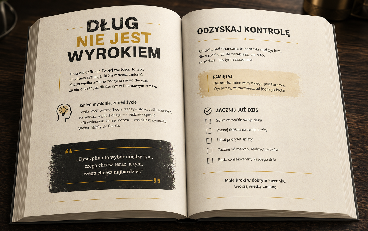 książka Dług Nie Jest Wyrokiem - Theo Sharma