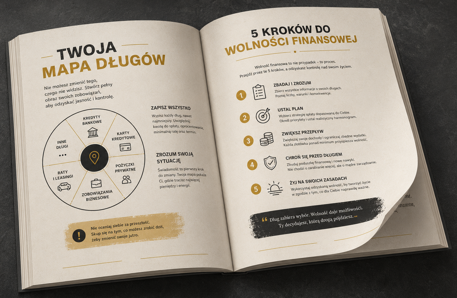 książka Dług Nie Jest Wyrokiem - Theo Sharma